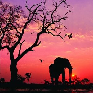 Meet your Posher, Delaney